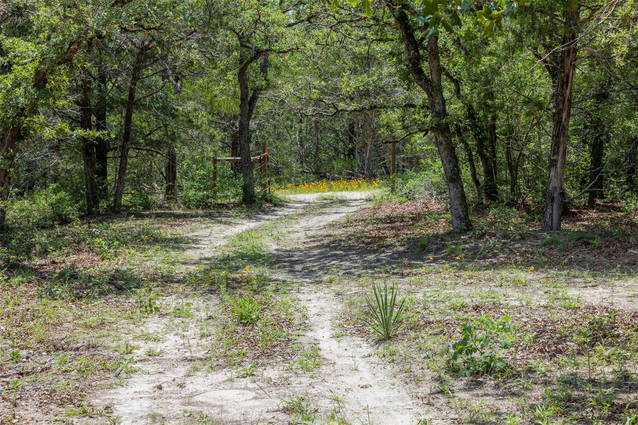 TBD Tract 3B Rabel Rd