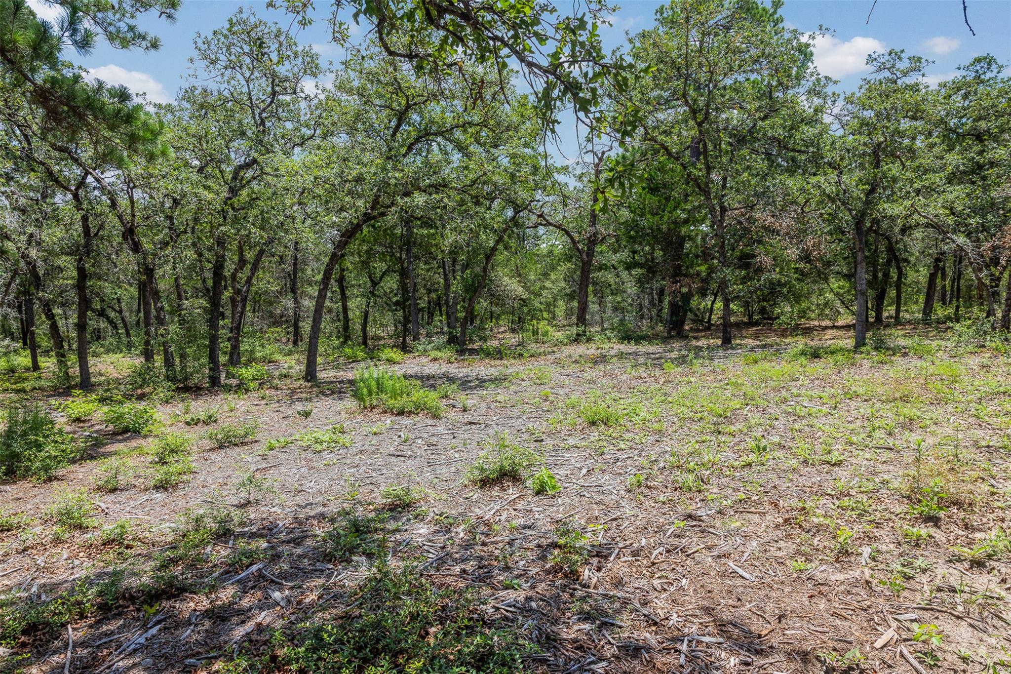 TBD Tract 3B Rabel Rd