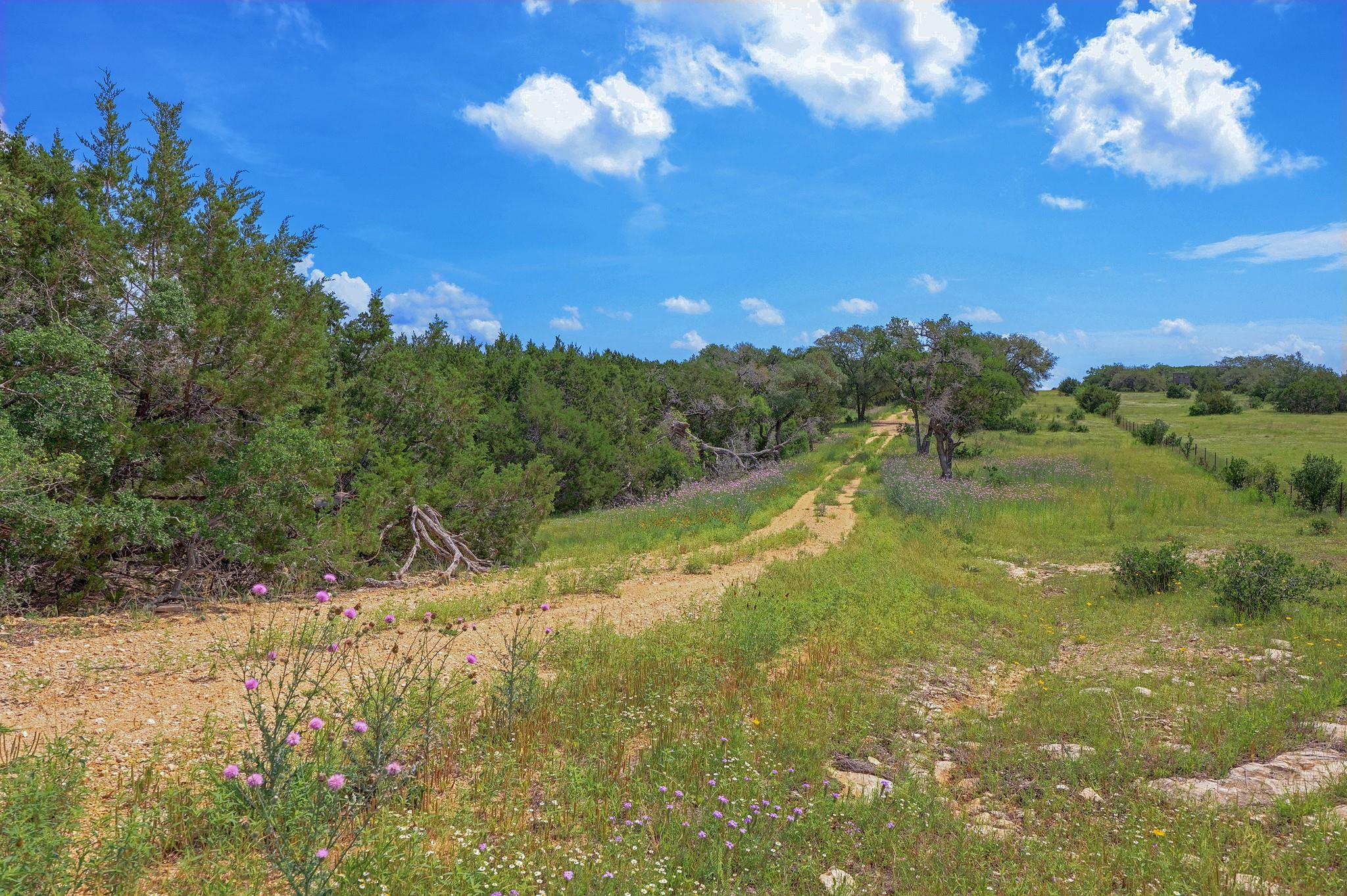 19131 Wolfridge 273 Ranch RD