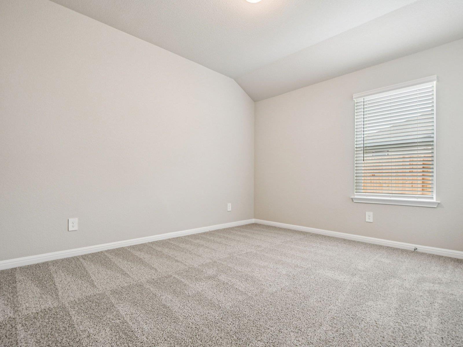 113 Cassins Nest