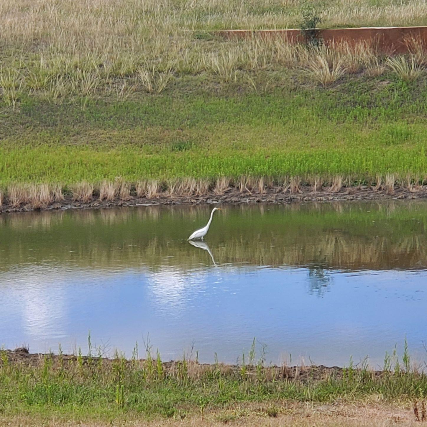 1115 County Road 414