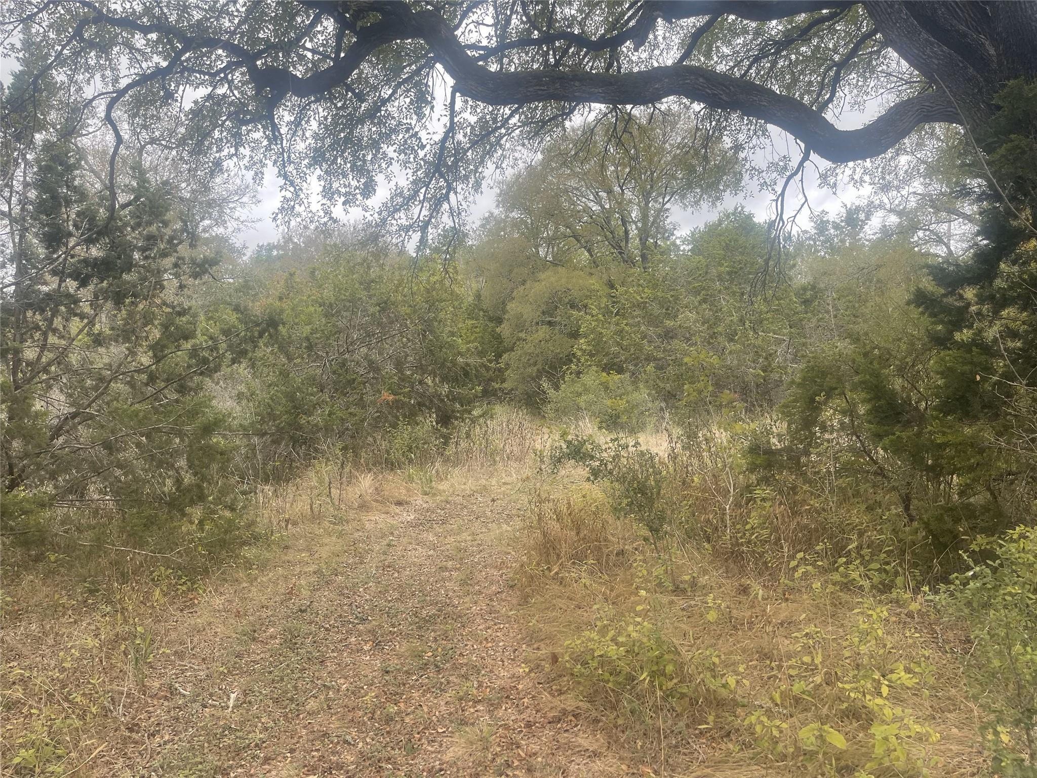 2171 Onion  Creek BND