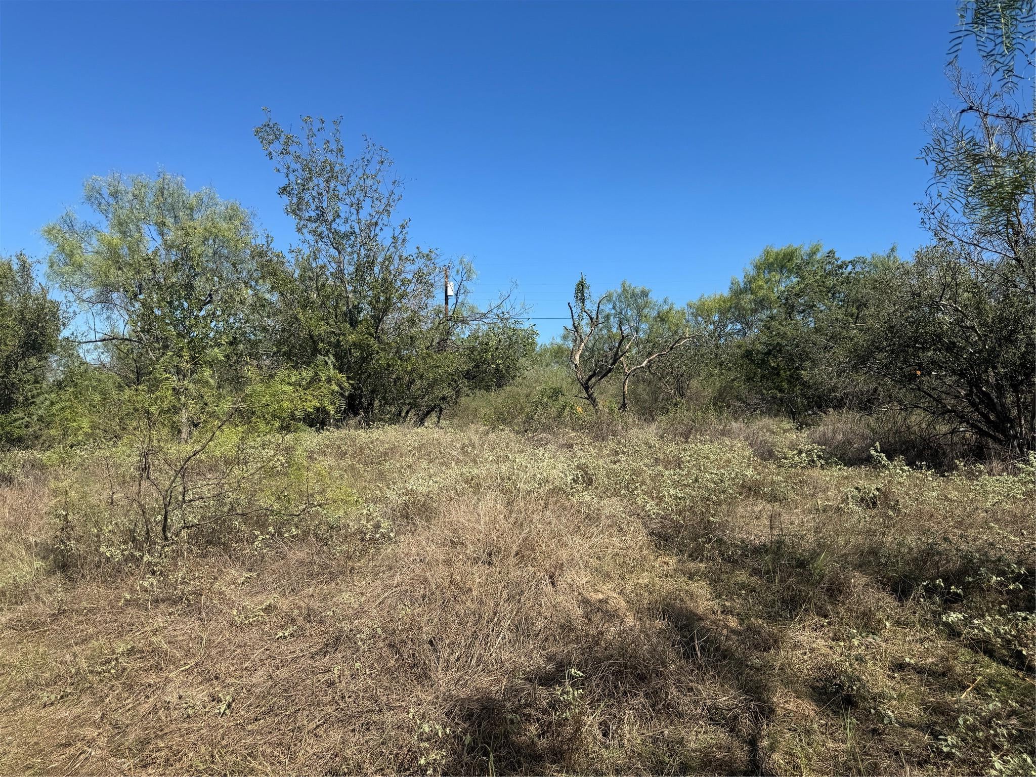 Lot 147 Concho TRL