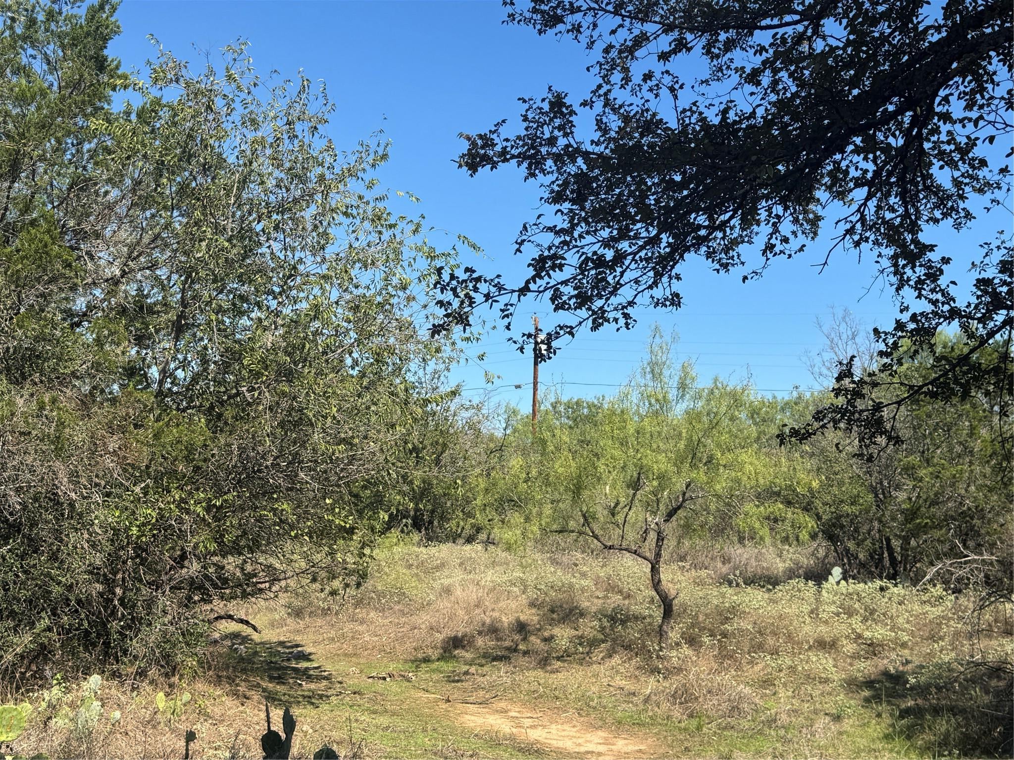 Lot 147 Concho TRL