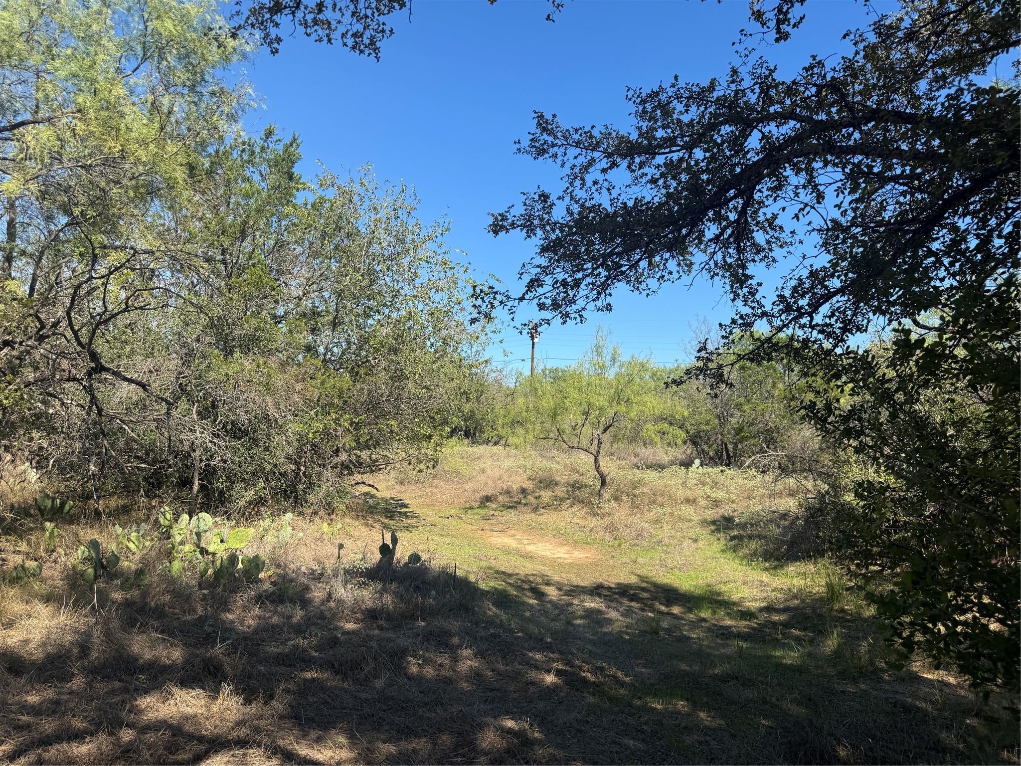 Lot 147 Concho TRL
