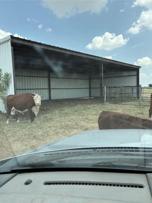 600 COUNTY ROAD 444, THORNDALE, TX 76577 - Image 7aba9db47a54668eddc0e4e8b3f0fc7e/3618042612