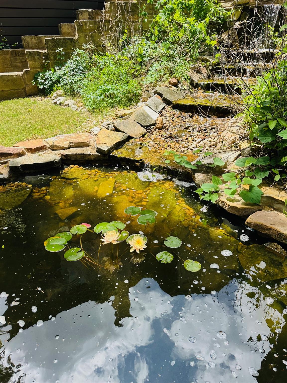 Georgetown, Texas 78628, United States, 3 Bedrooms Bedrooms, ,3 BathroomsBathrooms,Residential,Active,117055