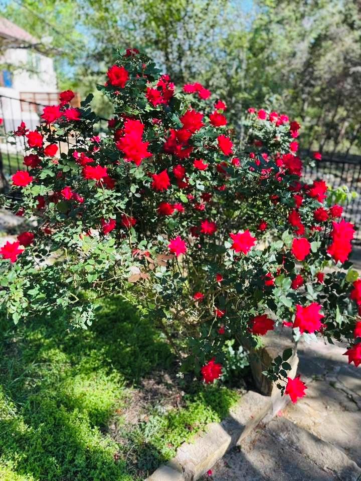 Georgetown, Texas 78628, United States, 3 Bedrooms Bedrooms, ,3 BathroomsBathrooms,Residential,Active,117055