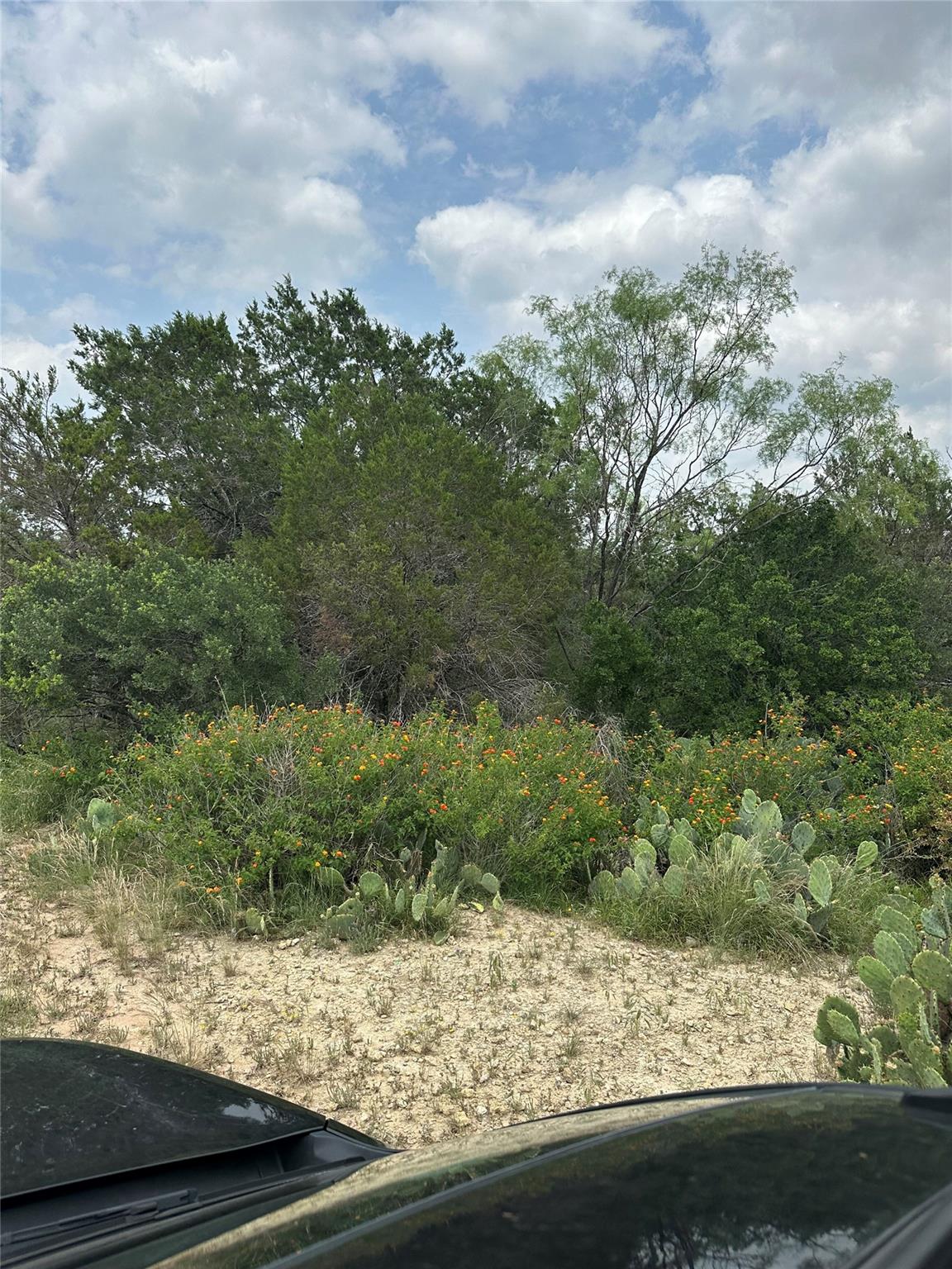 21412 Highland Lake DR