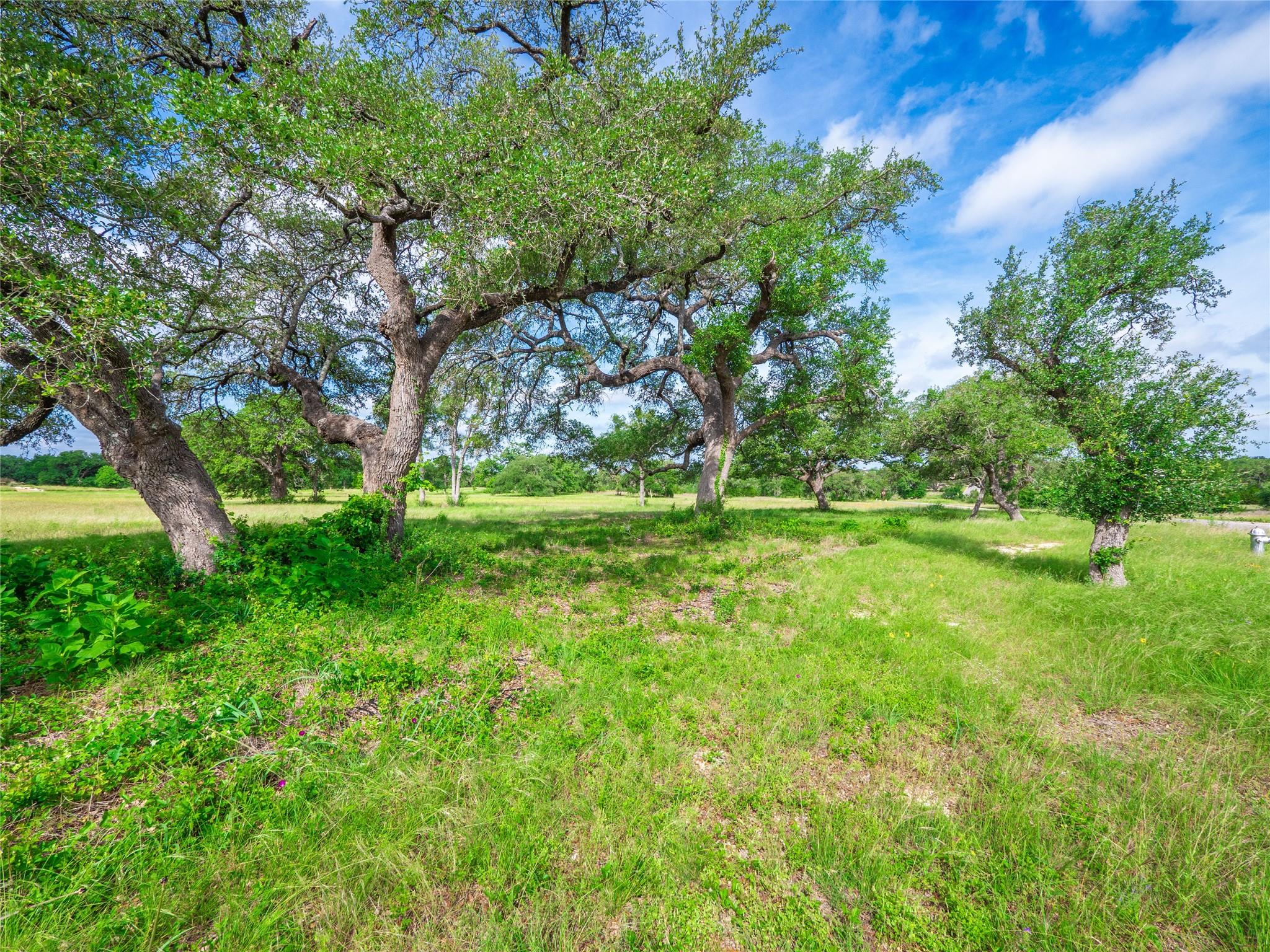 202 Mason CT