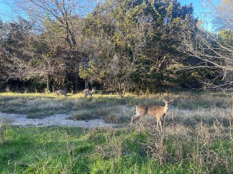 Tiny photo for 12049 Lincolnshire DR, Austin, TX 78758 (MLS # 5425466)