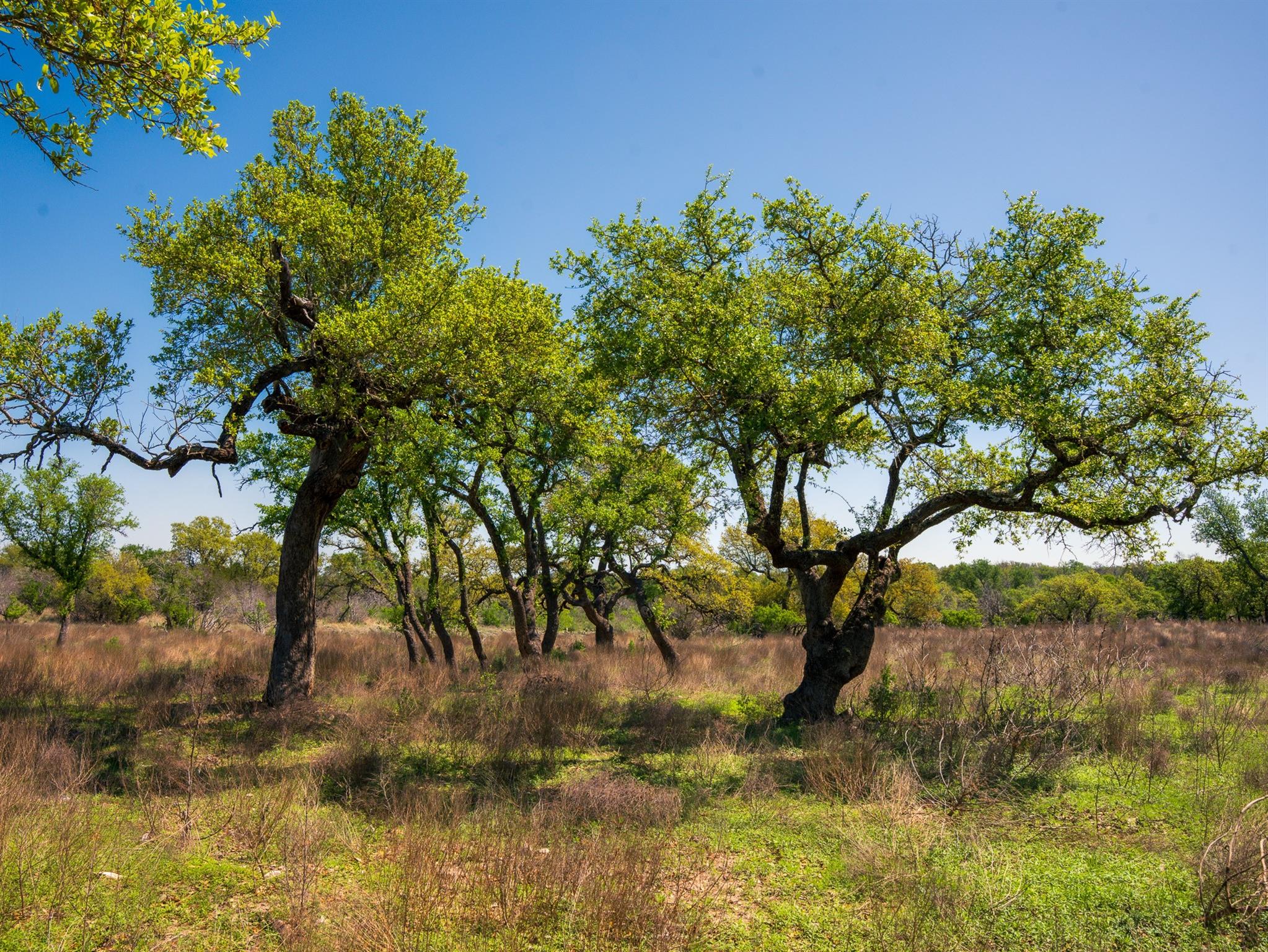 000 Serenity Springs RNCH