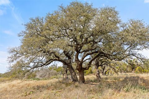 Photo of 727 Becker Road, Johnson City, TX 78636 (MLS # 9907118)