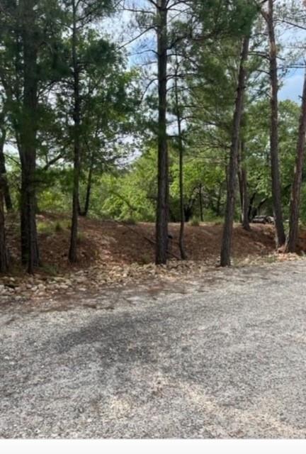 Photo of Lot 1114 KAOHIKAIPU DR, Bastrop, TX 78602 (MLS # 6474513)