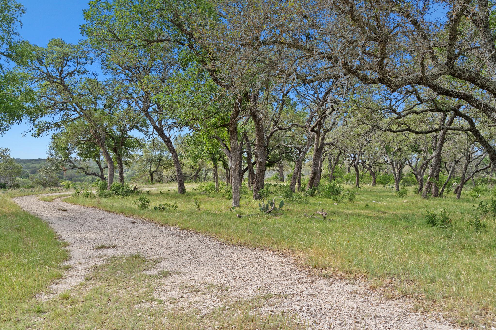 0000 County Road 1287