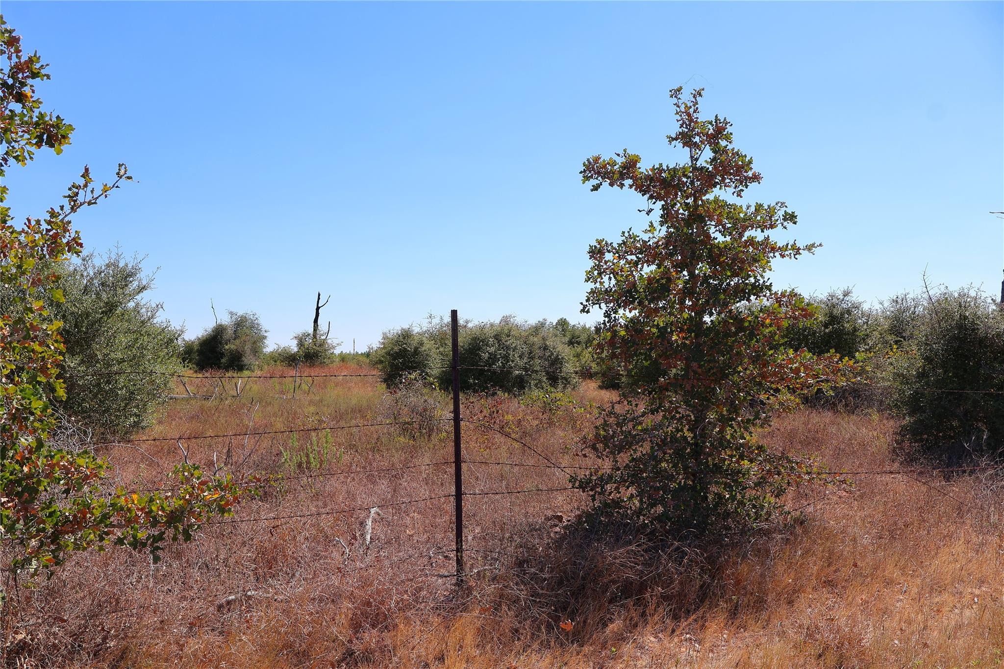 TBD Cottletown RD