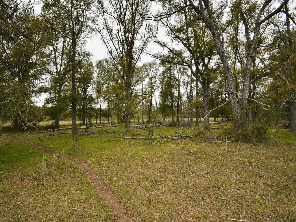 Photo 4 of 20 of 277 FM 672 land