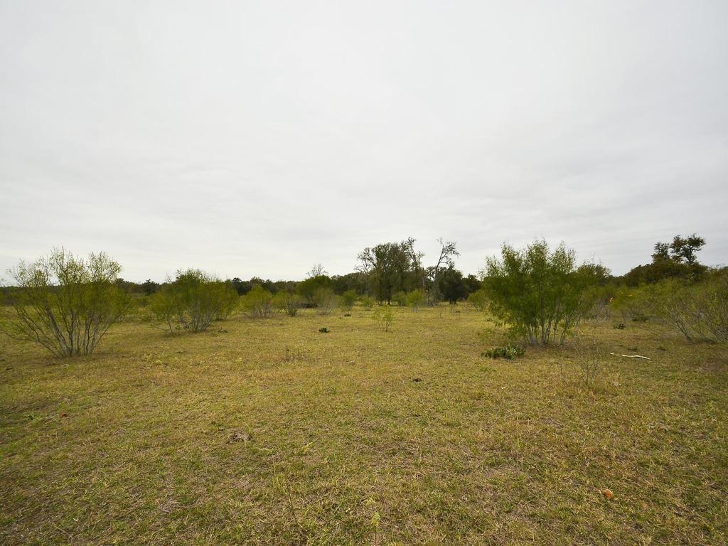Photo 9 of 20 of 277 FM 672 land