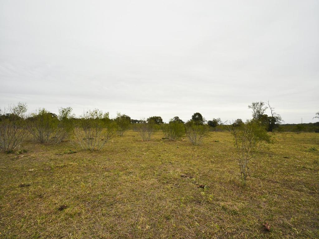 Photo 3 of 20 of 277 FM 672 land