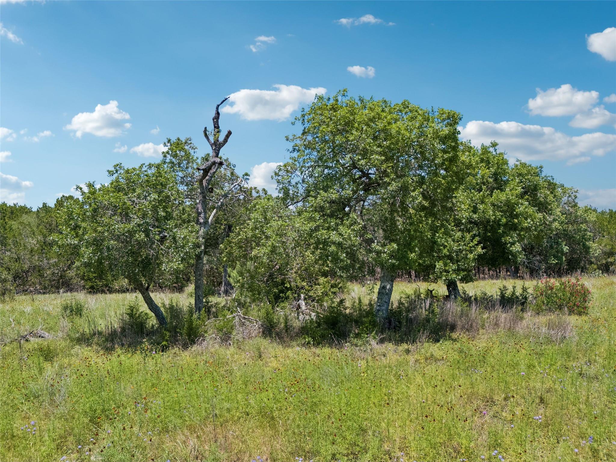 TBD S Rainbow Ranch RD