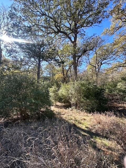 506 Tahitian DR Bastrop TX 78602