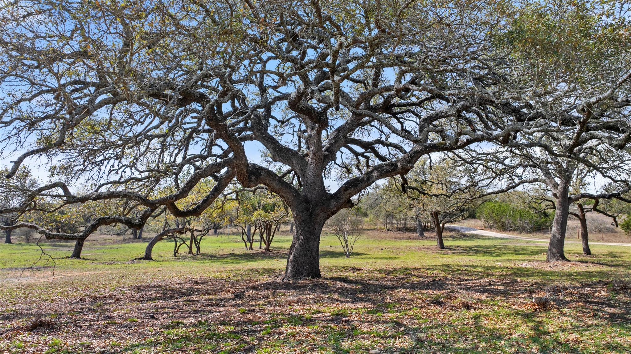 TBD Klett Ranch RD