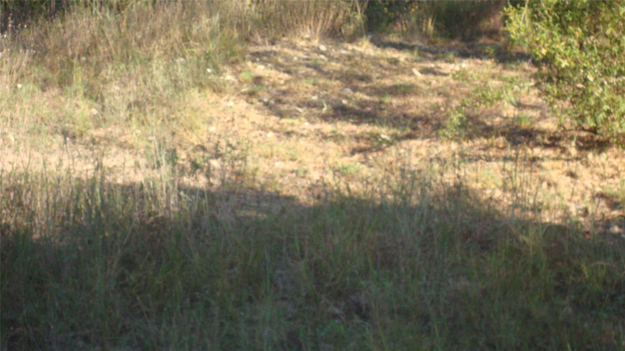 13904 & 13902 Saskatchewan DR