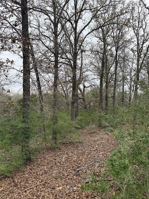 000 Wailupe CIR Bastrop TX 78602