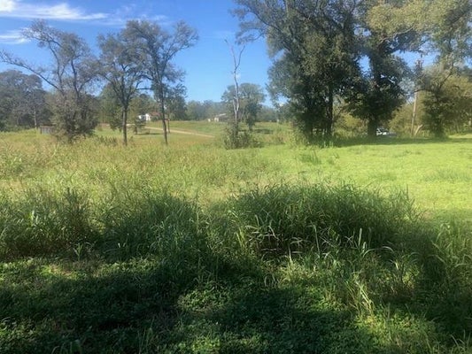TBD S JEFFERSON, CAMERON, TX 76520 - Image 7e63a005d4d90dec3c0bce3977c494fc/4107129475