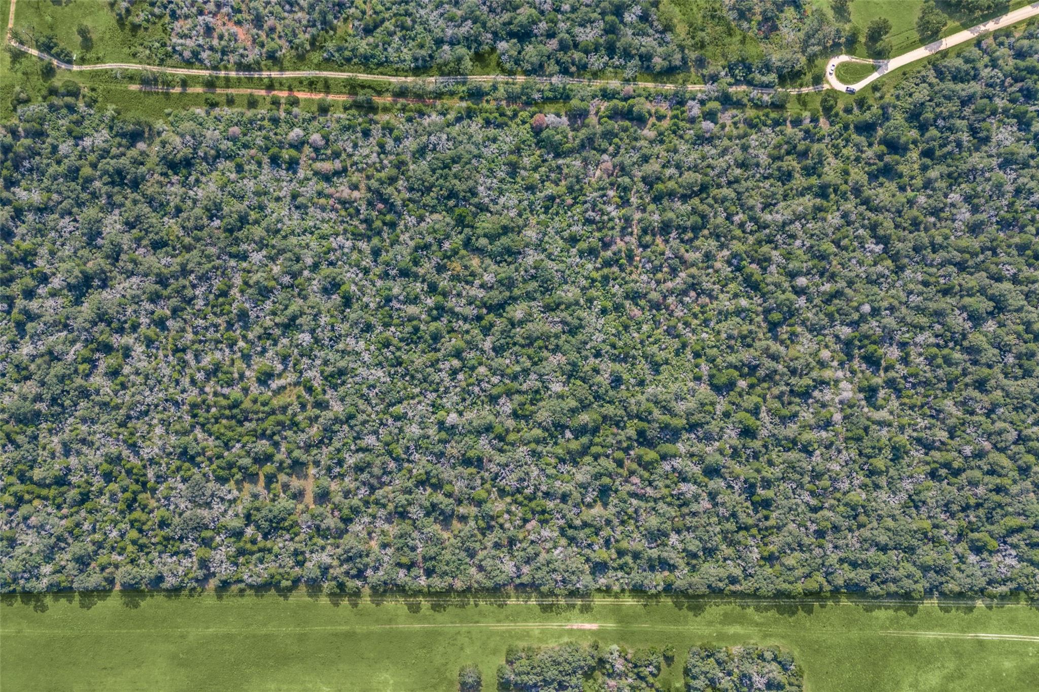 2199 Sandy Ranch RD