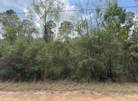 Photo of Lot 233 MAKAHA DR, Bastrop, TX 78602 (MLS # 5088025)