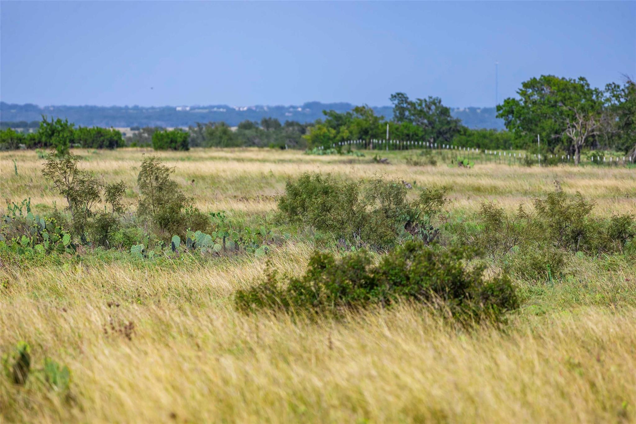50ac FM 243