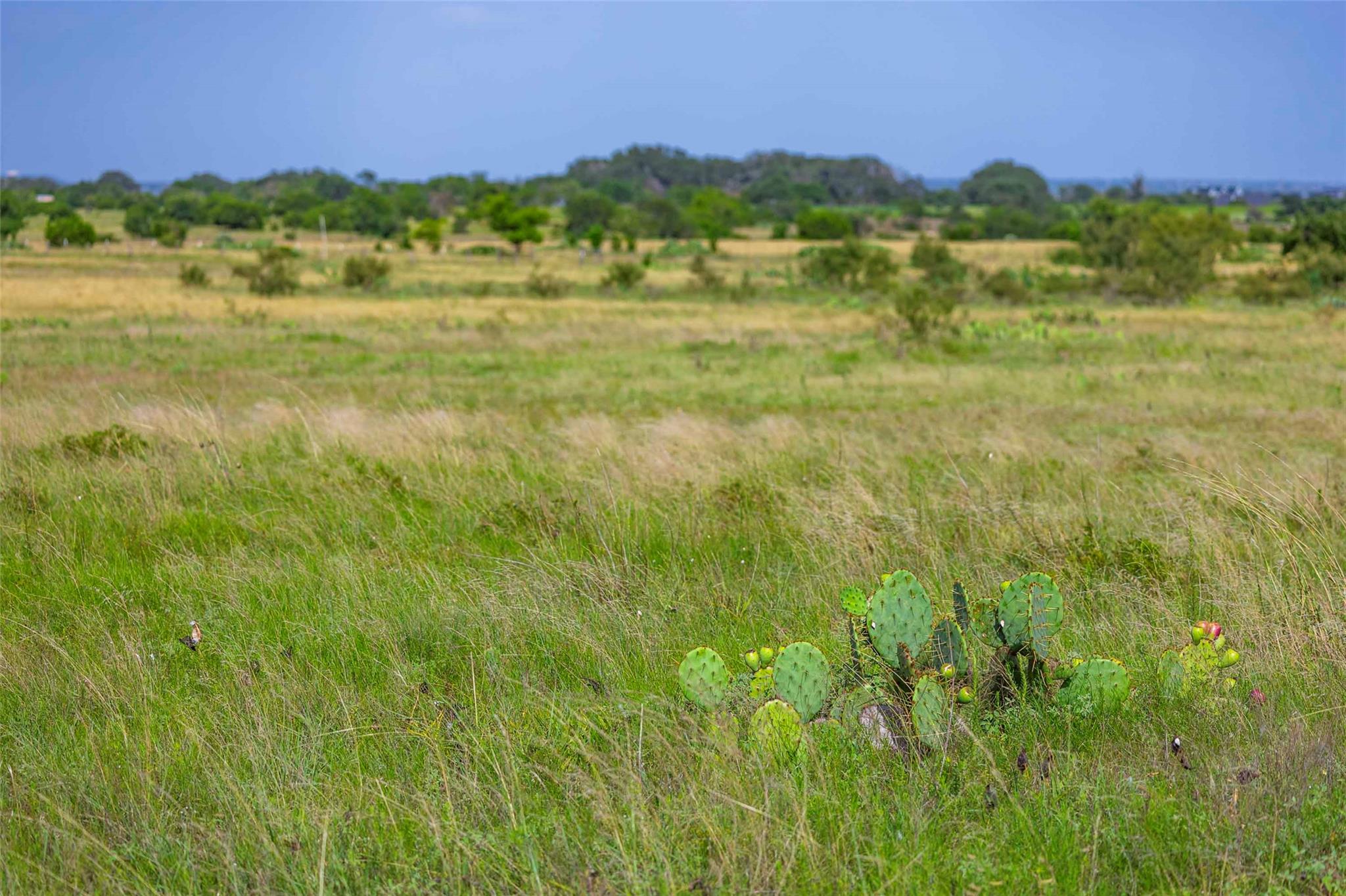 50ac FM 243