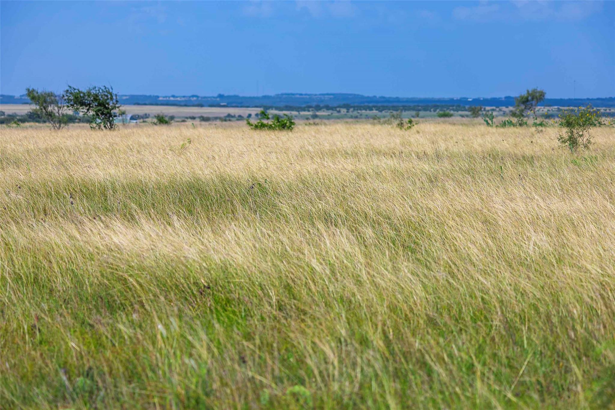 50ac FM 243