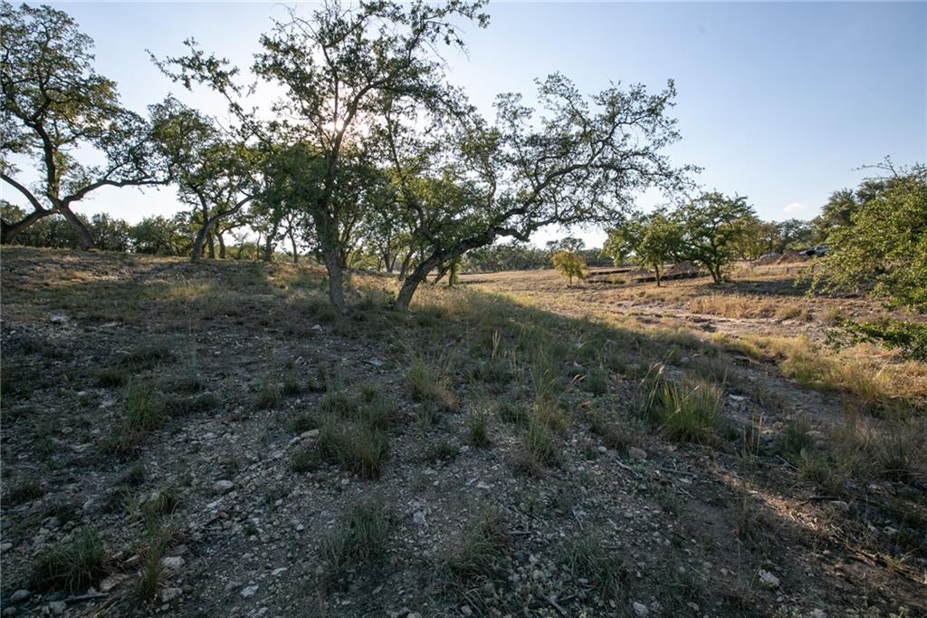 Photo 17 of 38 of TBD County Road 414 land