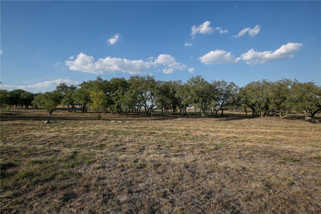 Photo 29 of 38 of TBD County Road 414 land