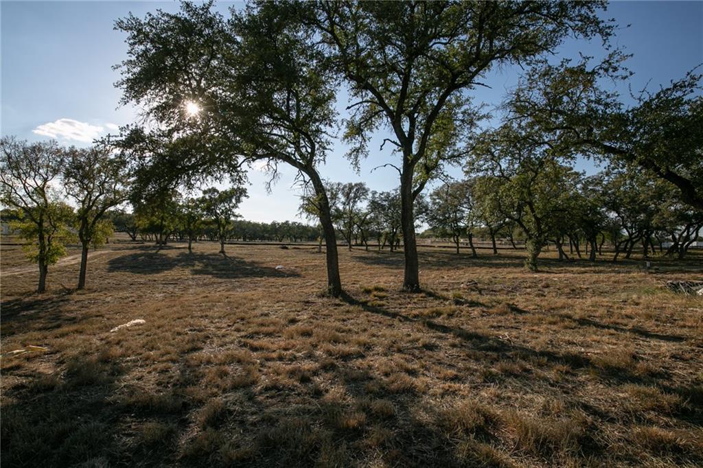 Photo 4 of 38 of TBD County Road 414 land