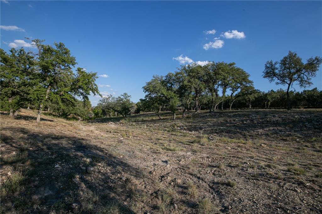 Photo 9 of 38 of TBD County Road 414 land