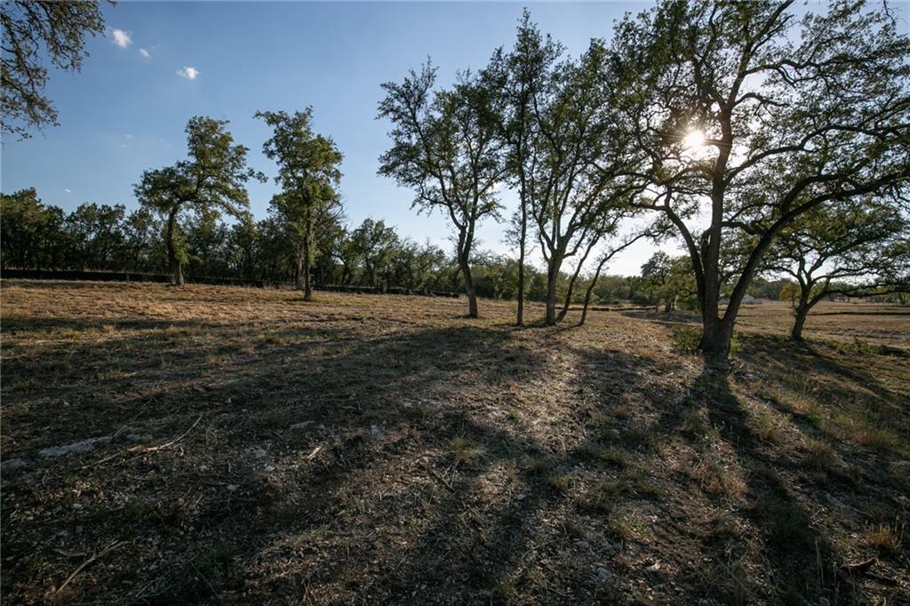 Photo 12 of 38 of TBD County Road 414 land