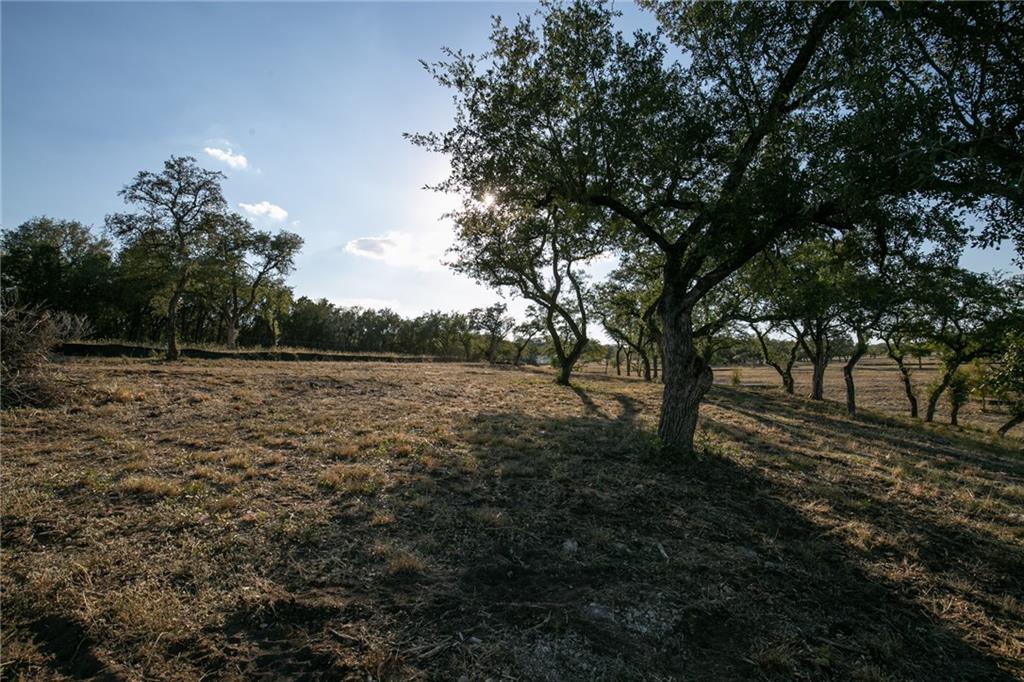 Photo 15 of 38 of TBD County Road 414 land