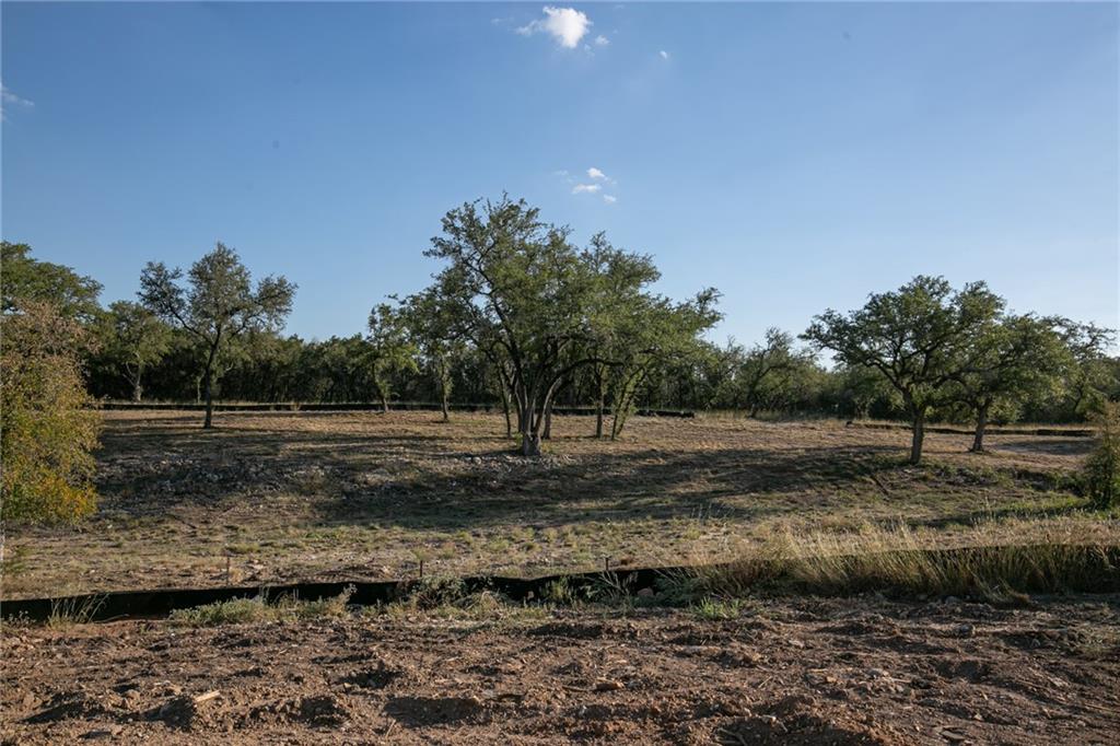 Photo 8 of 38 of TBD County Road 414 land