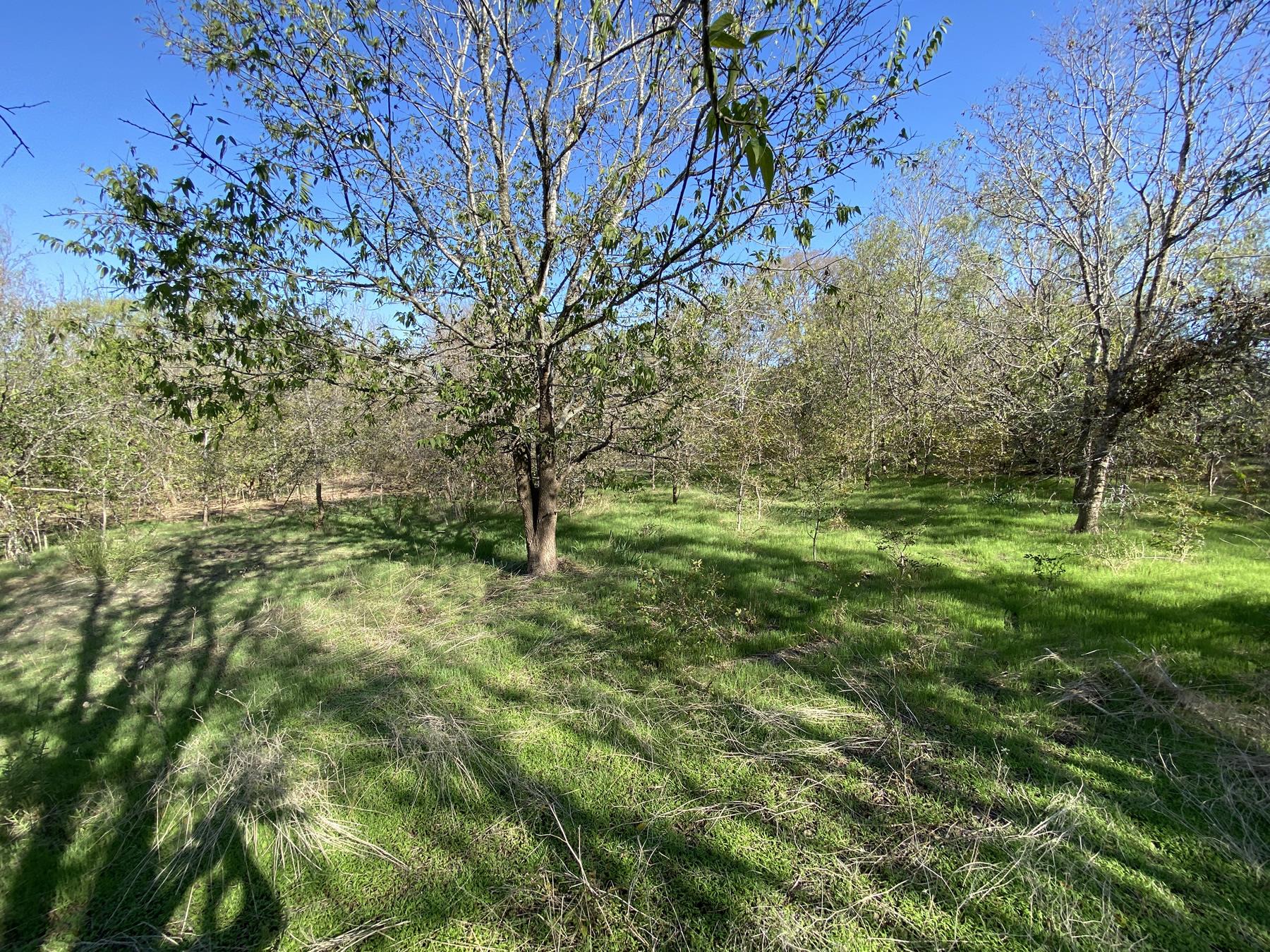 7603 Timber Hills DR