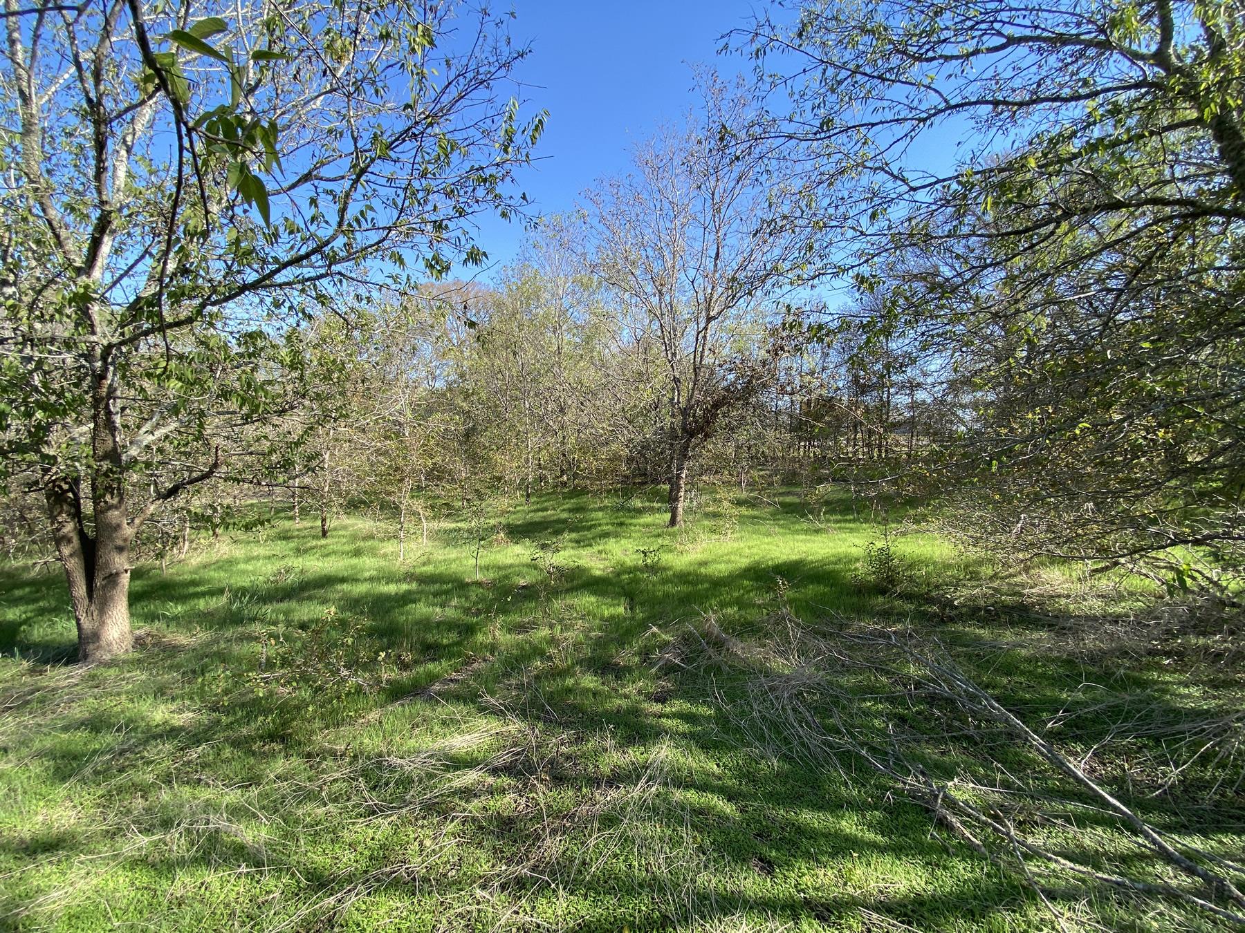 7603 Timber Hills DR