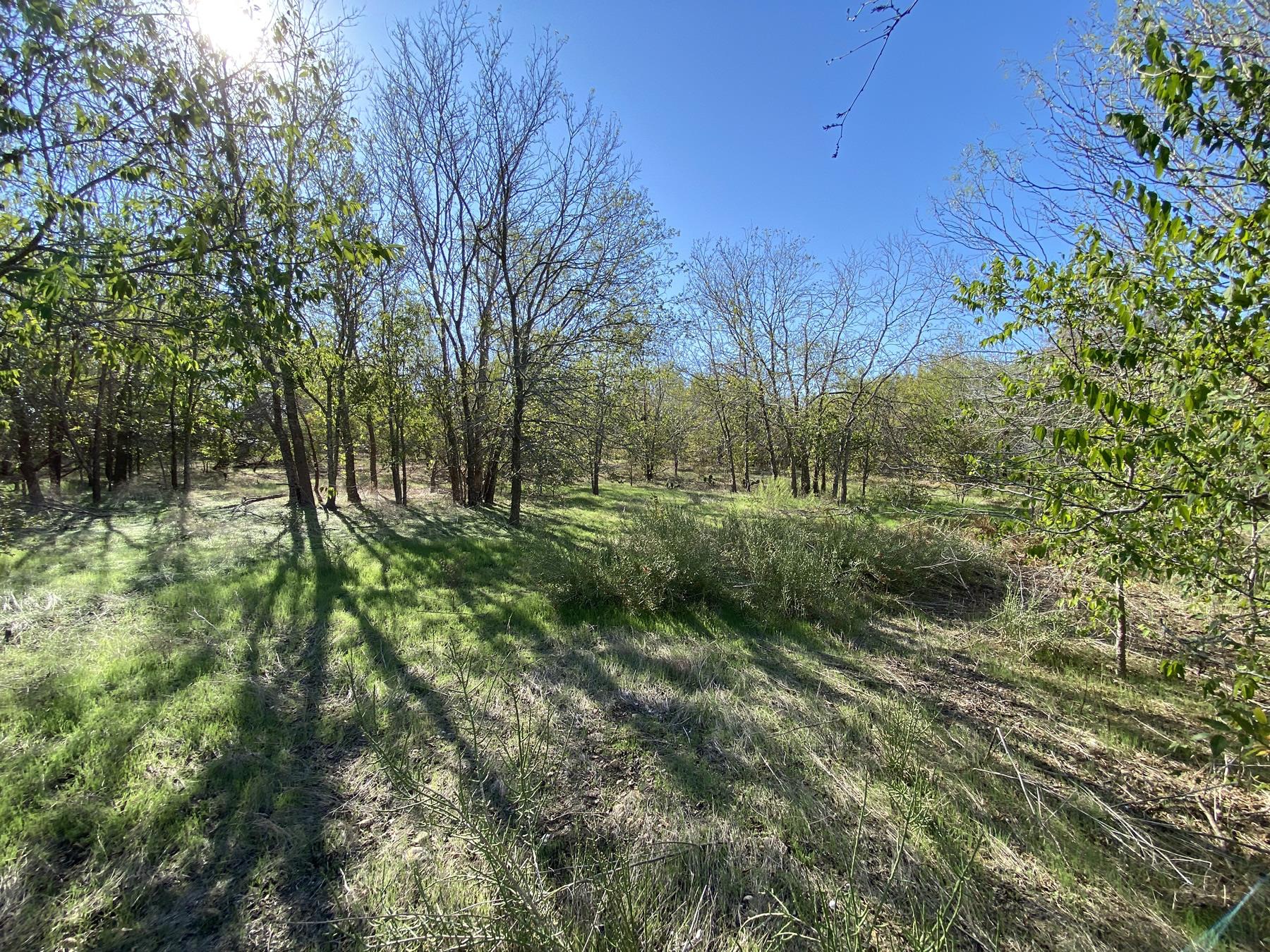 7603 Timber Hills DR