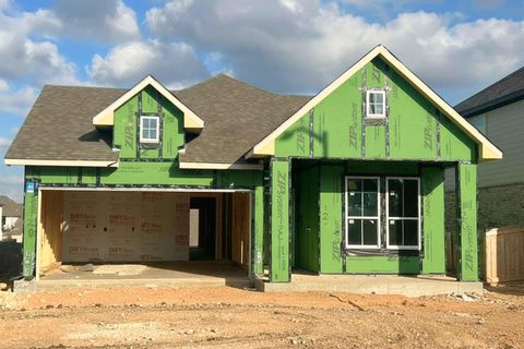 120 Pipe Cactus PASS Georgetown TX 78633