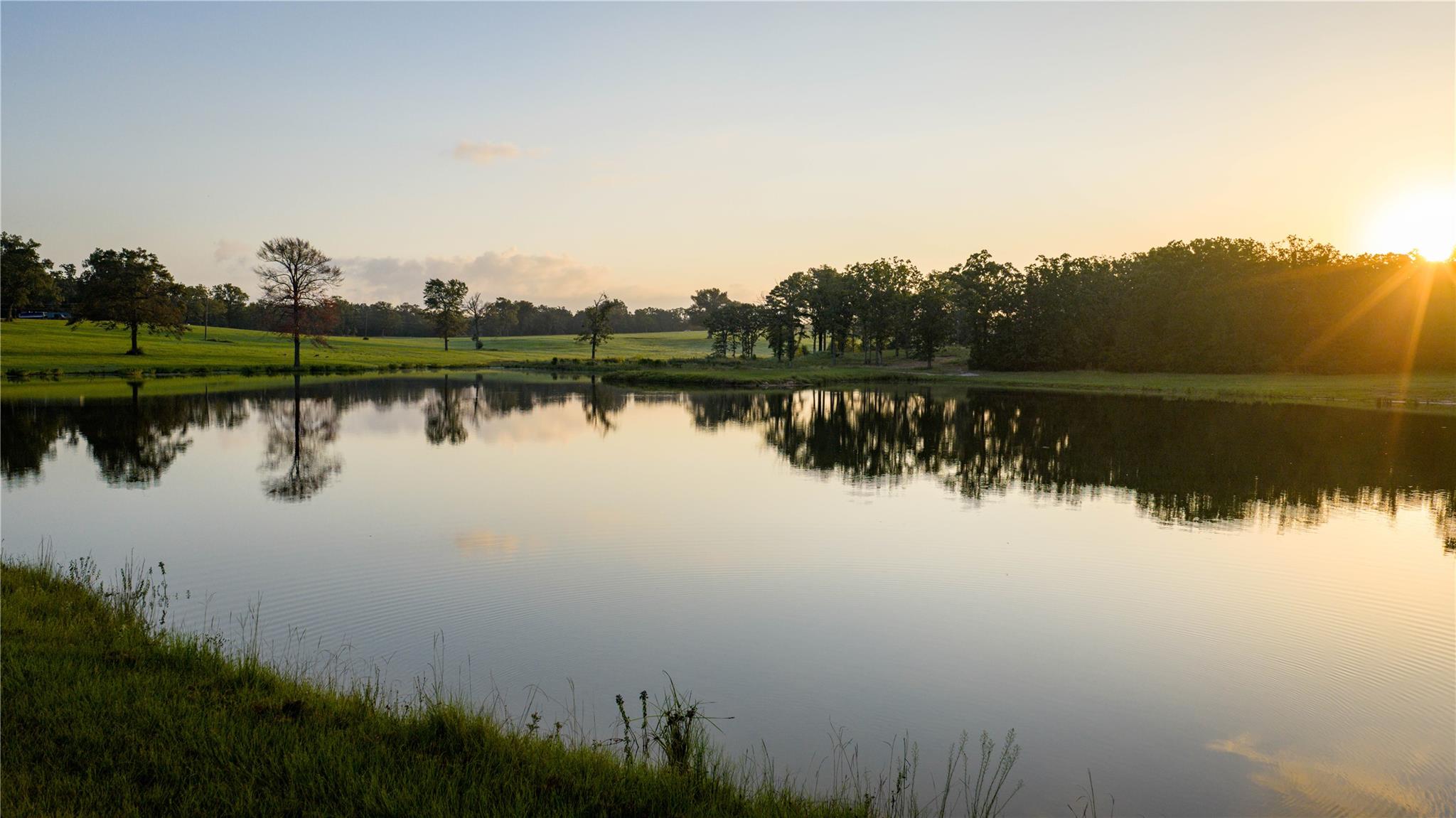 1577 County Road 431