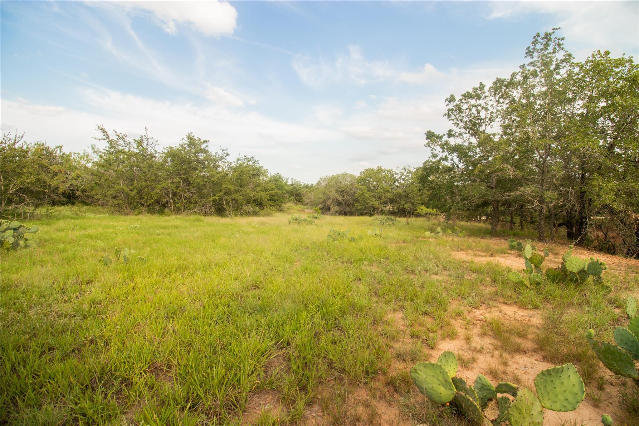 437 Firefly Field LN