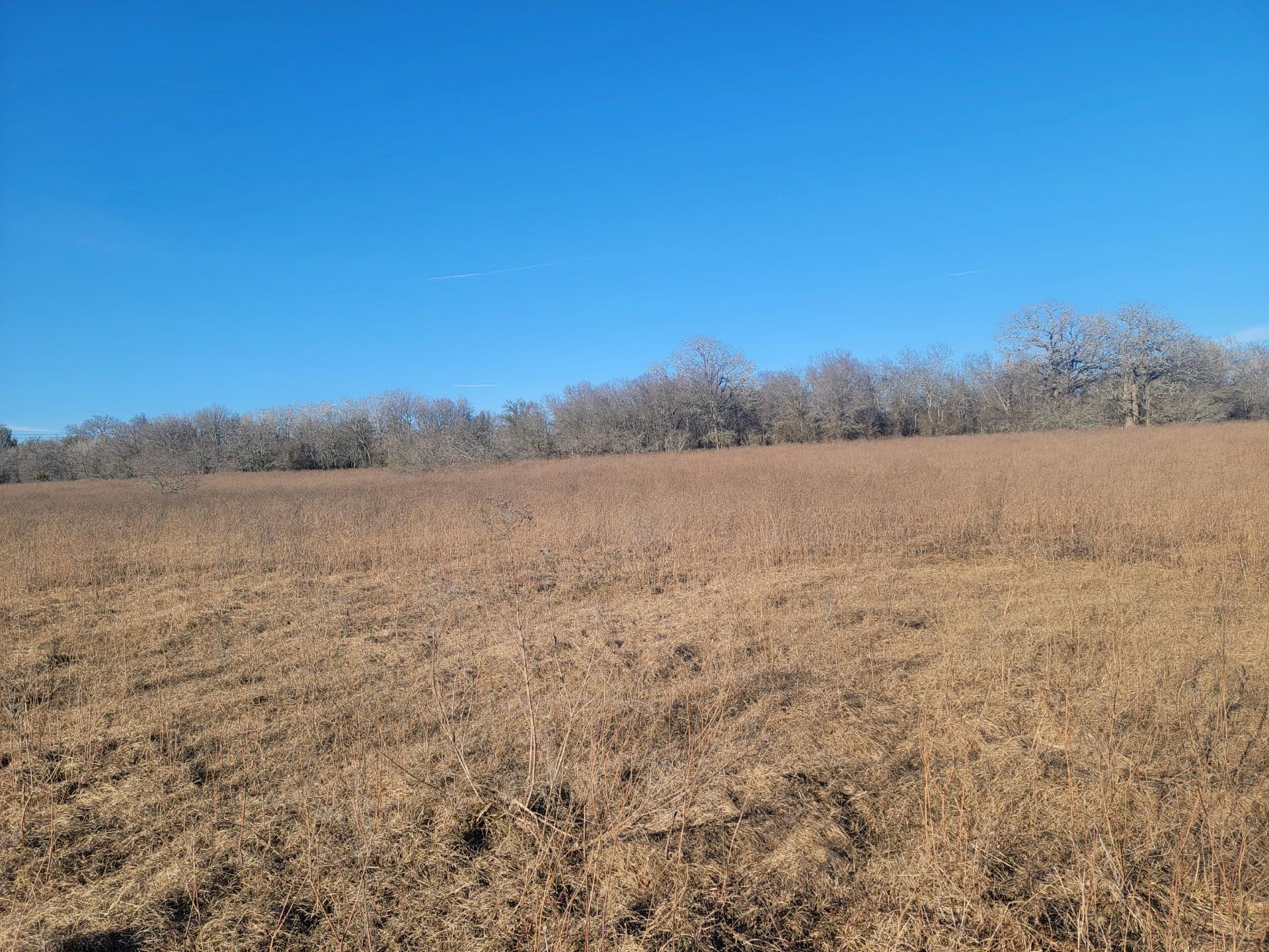 TBD County Road 458A RD