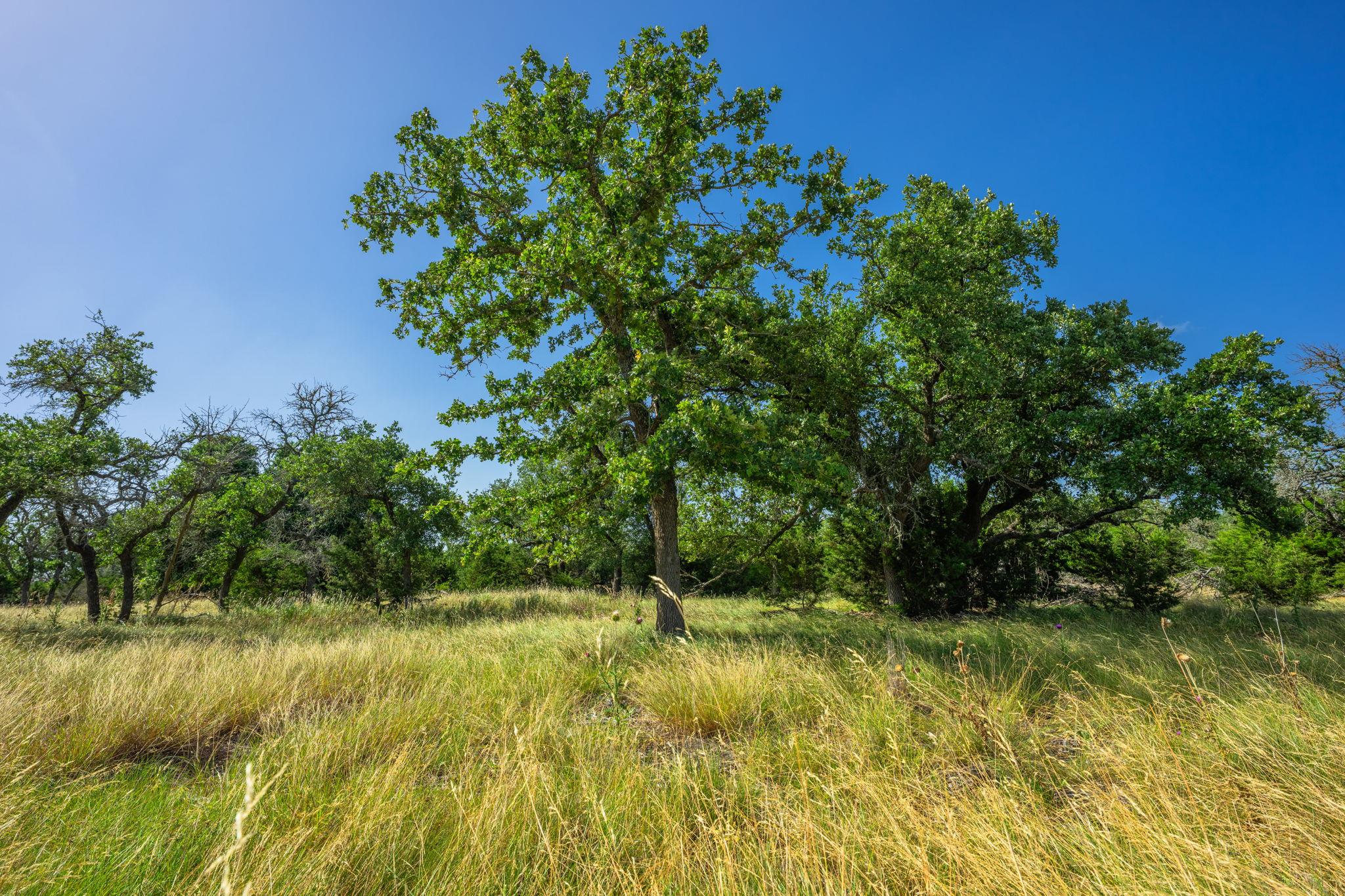00 Hideout Ranch Lot 7