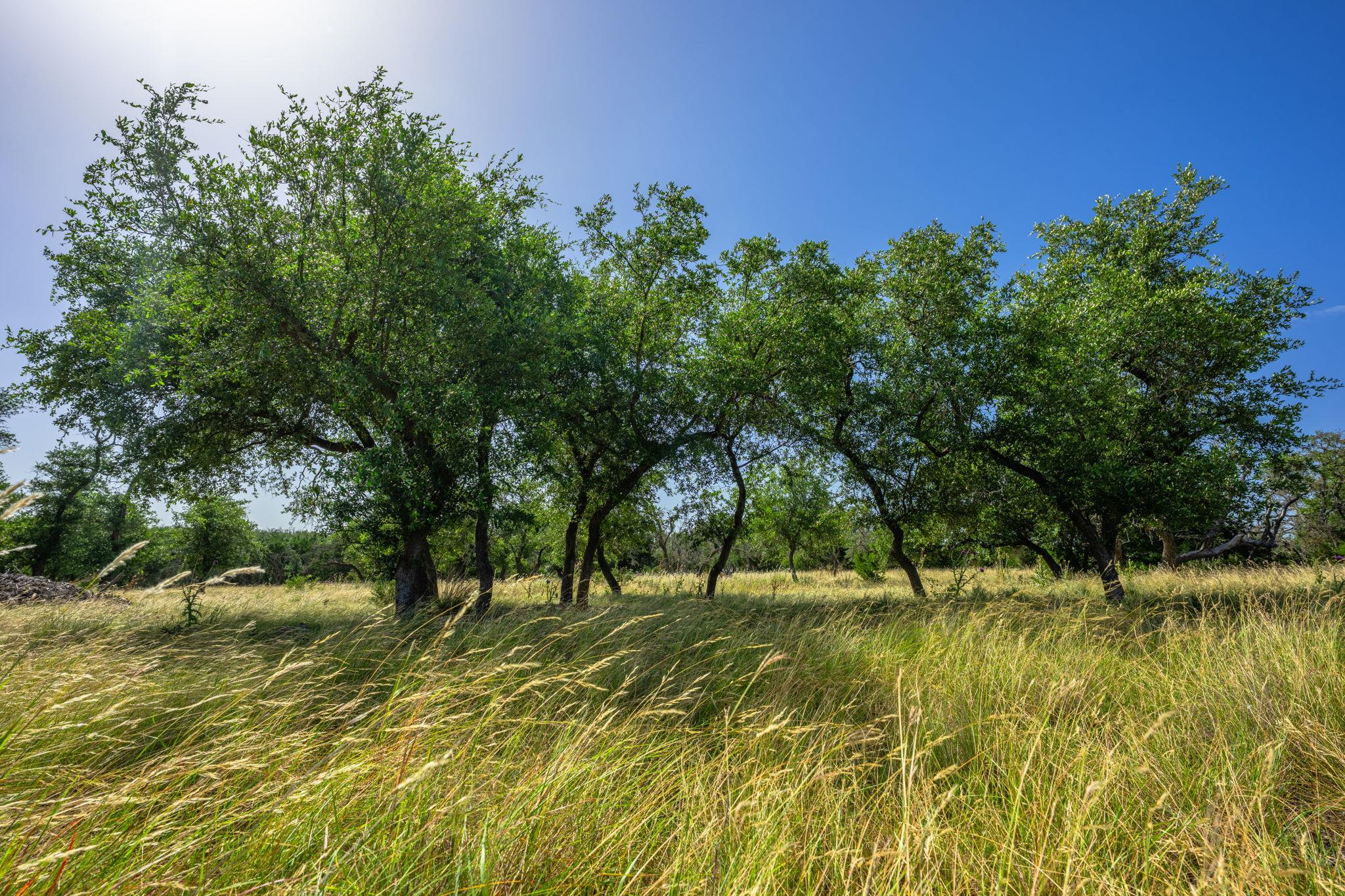 00 Hideout Ranch Lot 7